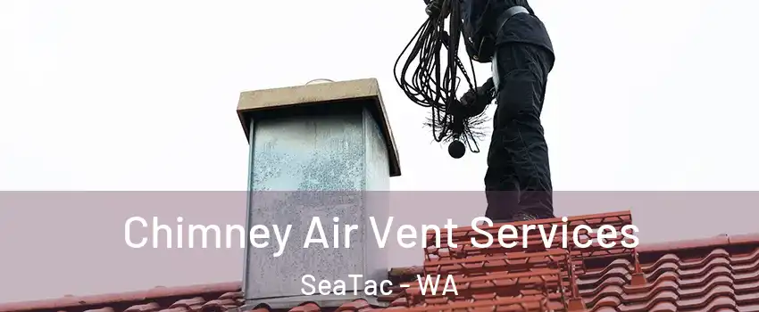  Chimney Air Vent Services SeaTac - WA