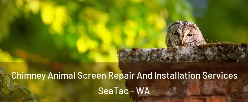  Chimney Animal Screen Repair And Installation Services SeaTac - WA