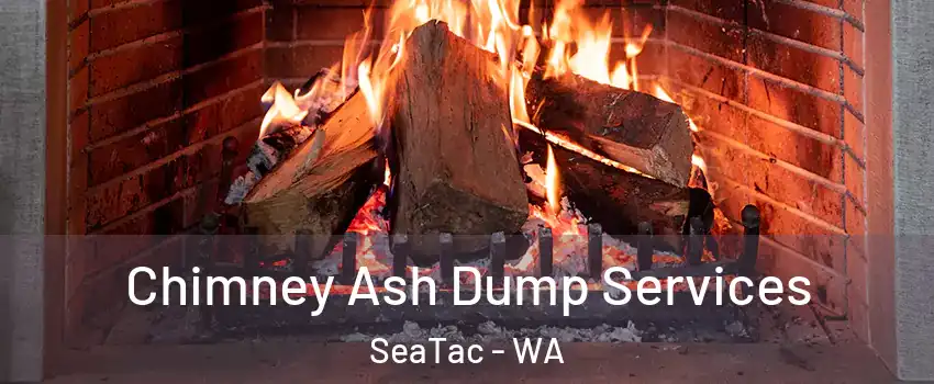  Chimney Ash Dump Services SeaTac - WA