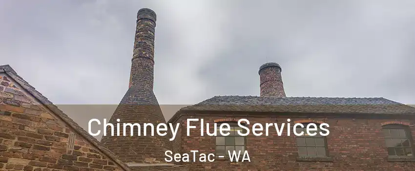  Chimney Flue Services SeaTac - WA