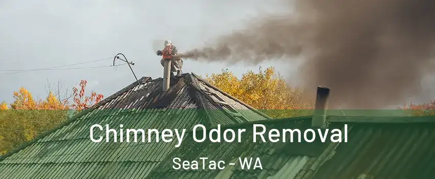  Chimney Odor Removal SeaTac - WA