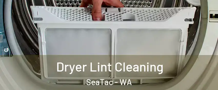  Dryer Lint Cleaning SeaTac - WA