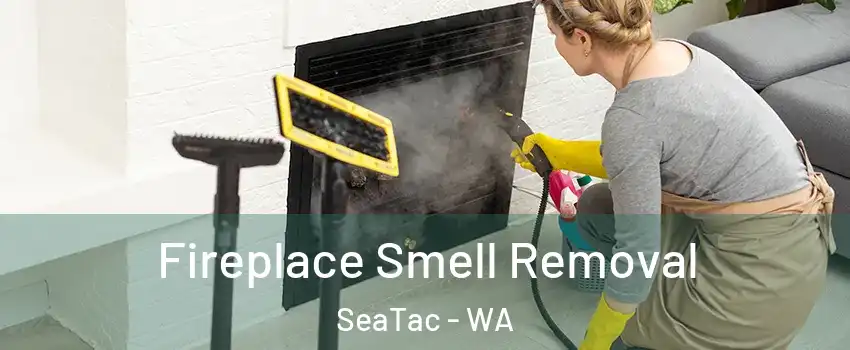  Fireplace Smell Removal SeaTac - WA