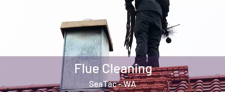  Flue Cleaning SeaTac - WA