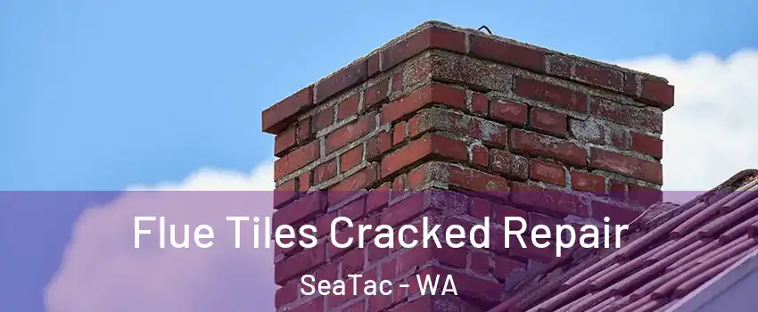  Flue Tiles Cracked Repair SeaTac - WA
