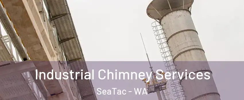  Industrial Chimney Services SeaTac - WA