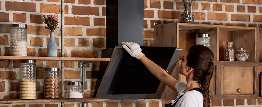Chimney Installation in SeaTac, WA