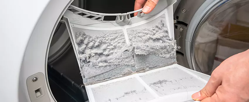 Best Dryer Lint Removal Company in SeaTac, Washington