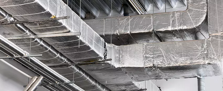 Vent Dust Cleaning Cost in SeaTac, WA