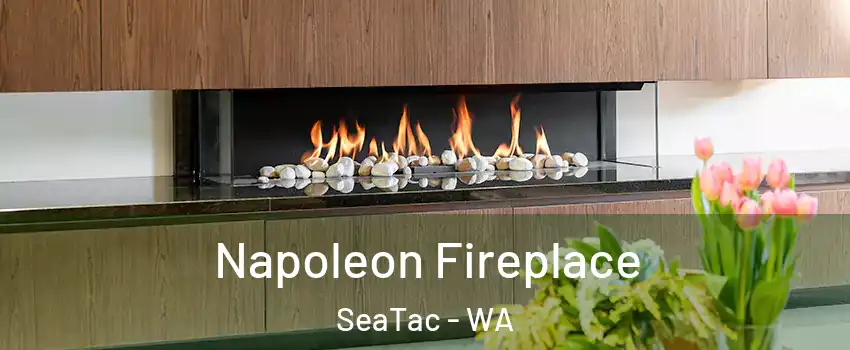  Napoleon Fireplace SeaTac - WA